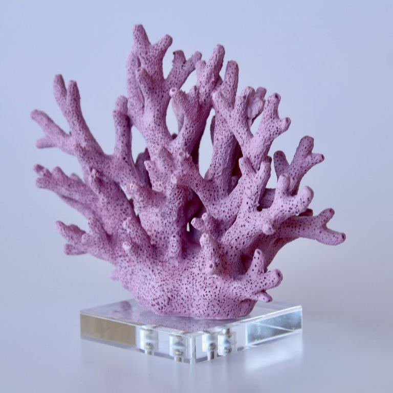 Mauve Coral On Perspex Base